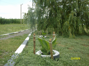 IMGP3649