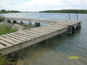 IMGP3651